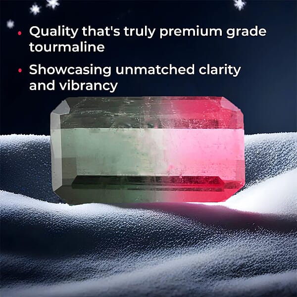 AAAA Bi-Color Tourmaline (Oct Free Size) 3.00 Ctw