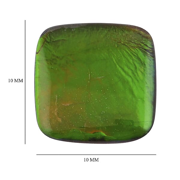 AAAA Canadian Ammolite (Cush 10x10mm) 2.50 Ctw