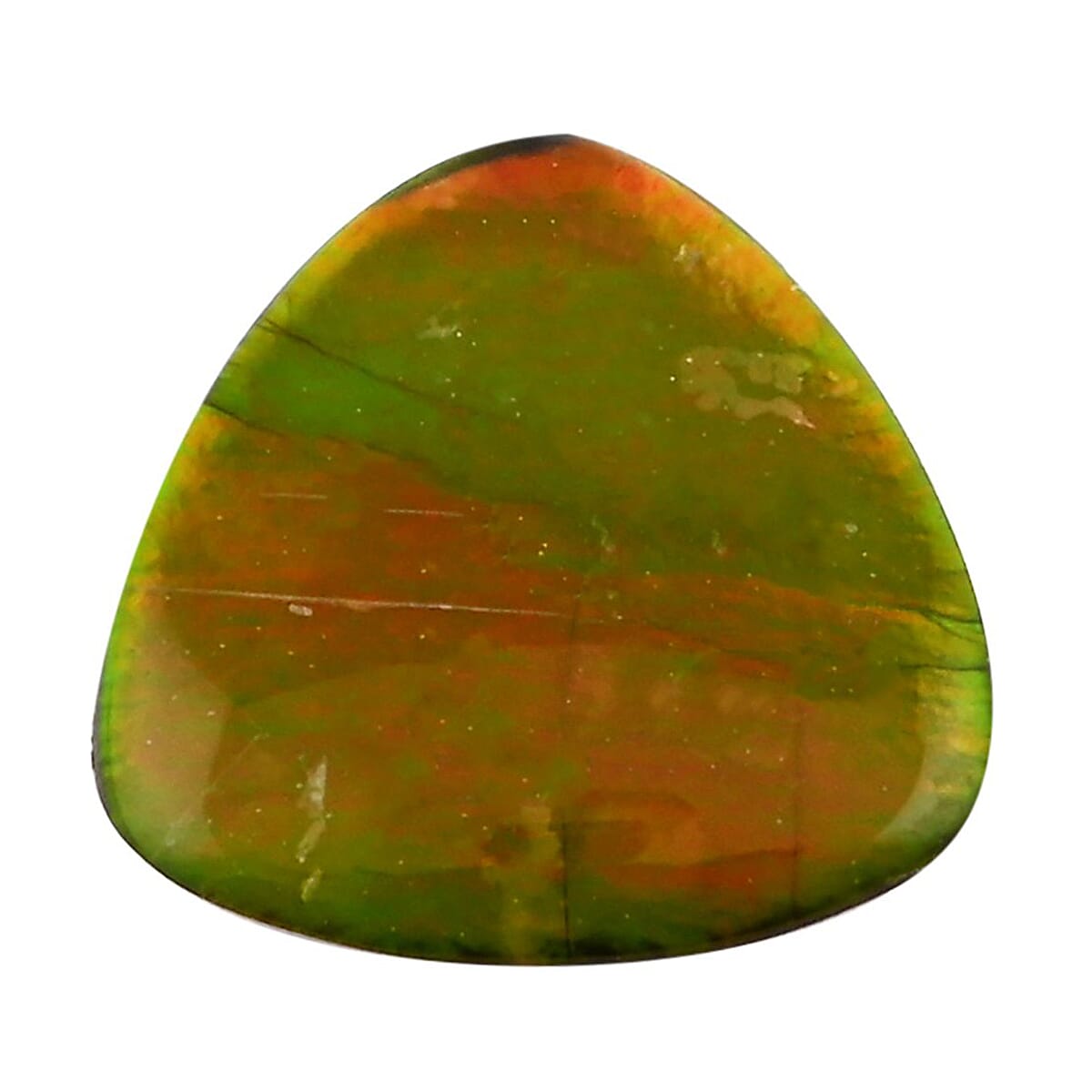 AAAA Canadian Ammolite (Trl 10x10mm) 2.00 ctw