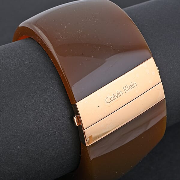 Calvin Klein Closeout ION Plated RG Stainless Steel Vision Bangle Bracelet (7.00 In)