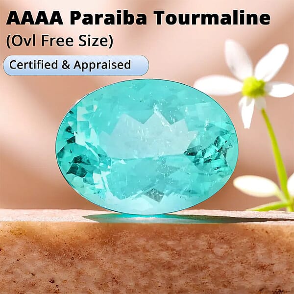 Certified & Appraised AAAA Paraiba Tourmaline (Ovl Free Size) 1.50 Ctw