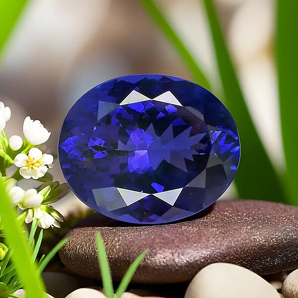 Chairman Vault Collection Certified & Appraised AAAA Tanzanite (Ovl Free Size) 24.92 Ctw