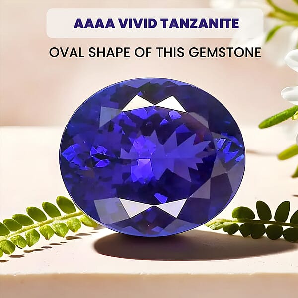 Chairman Vault Collection Certified & Appraised AAAA Tanzanite (Ovl Free Size) 24.92 Ctw