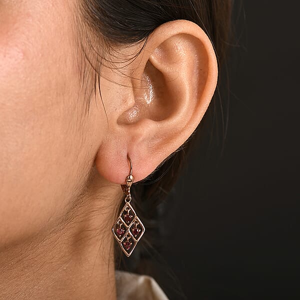 D'Joy Premium Anthill Garnet 0.70 Ctw Lattice Earrings In Brown E-coat Sterling Silver