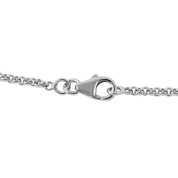 Larimar Turtle Necklace 18 Inches In Platinum Over Sterling Silver 29.20 Ctw