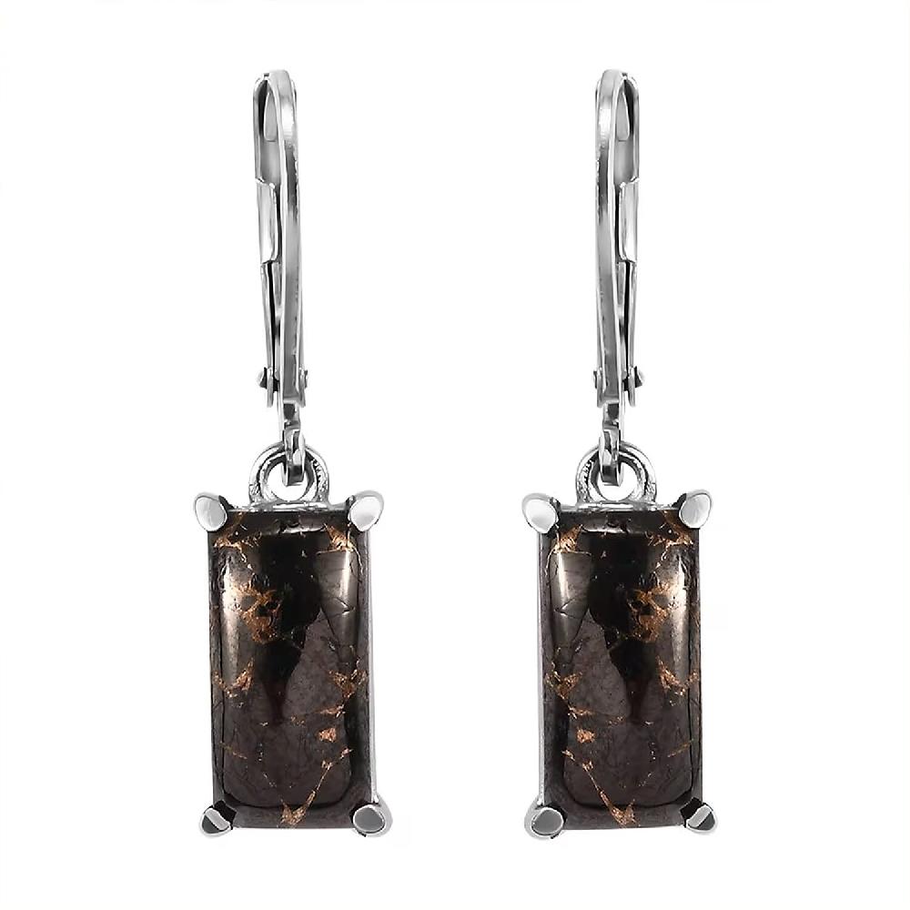 Matrix Silver Shungite 3.75 ctw Lever Back Earrings in Stainless Steel