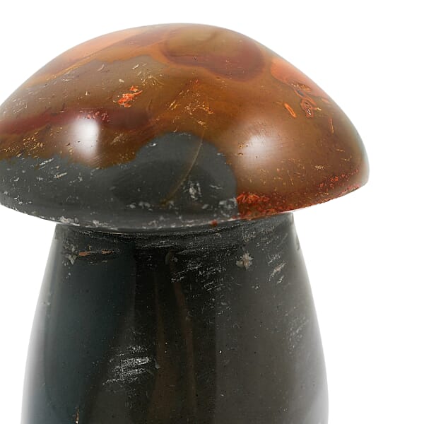 Microcline Multi Color Mushroom -Small 584ctw
