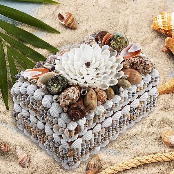 Multi Color Sea Shell Encrusted Treasure Chest Shaped Box