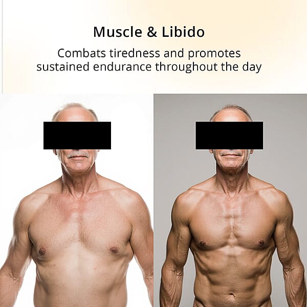 One8e Testo Muscle & Libido Supplement (60 Capsules) Made In US