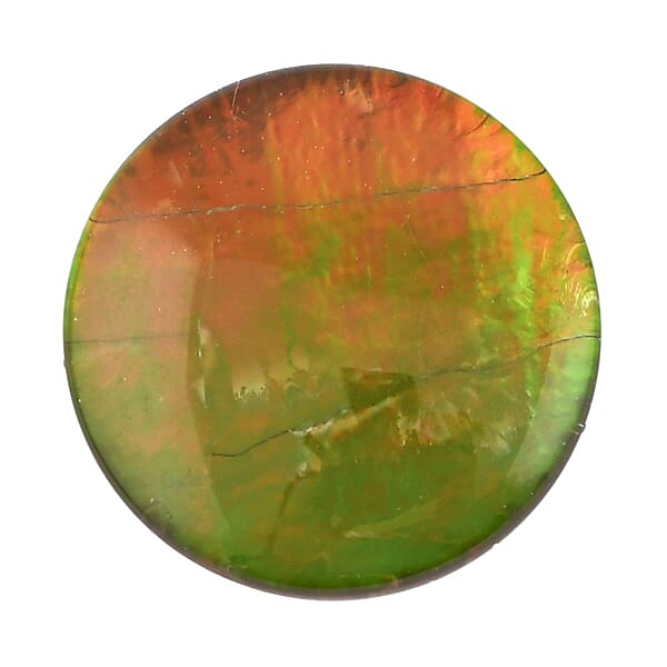 Plain Cut AAAA Canadian Ammolite (Rnd 8 Mm) 1.30 Ctw
