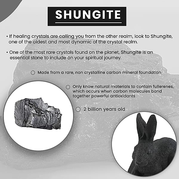 Rabbit Shungite Figurine Home Decor Figurine Decorative Figurine Living Room Decor