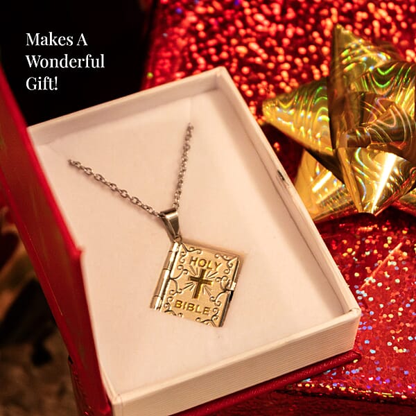 Set Of 2 Bible Pendant Necklace (24 Inches) In ION Plated YG And Steel (Del. In 10-12 Days)