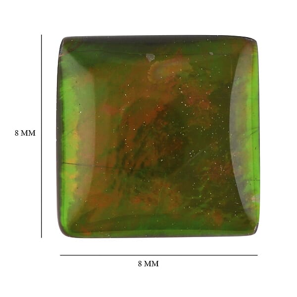 AAAA Canadian Ammolite (Sqr 8x8 Mm) 1.50 Ctw