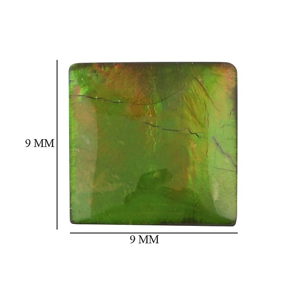 AAAA Canadian Ammolite (Sqr 9x9 Mm) 2.20 Ctw
