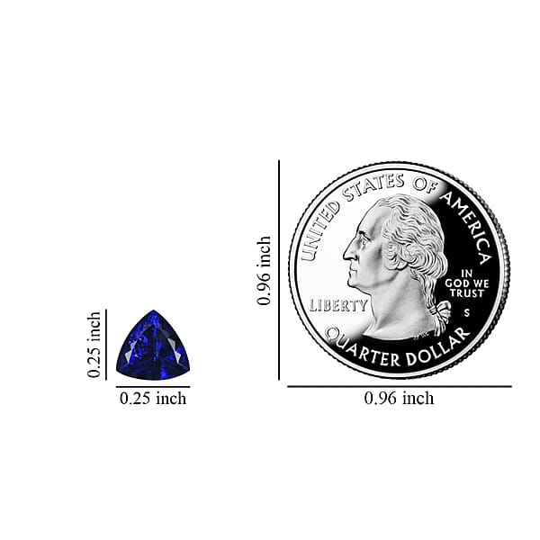 AAAA Tanzanite (Trl 6.5 Mm) 1.00 Ctw