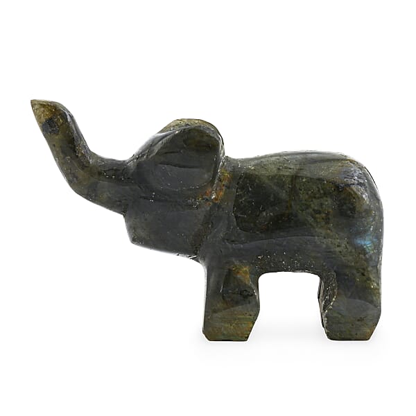 Labradorite Elephant Shape -Small 677ctw