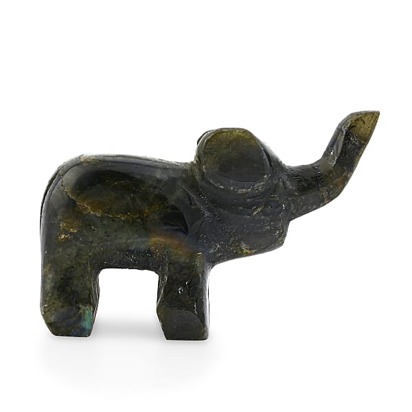 Labradorite Elephant Shape -Small 677ctw