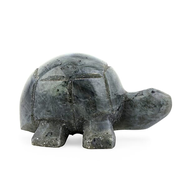 Labradorite Tortoise Shape -Small 477ctw