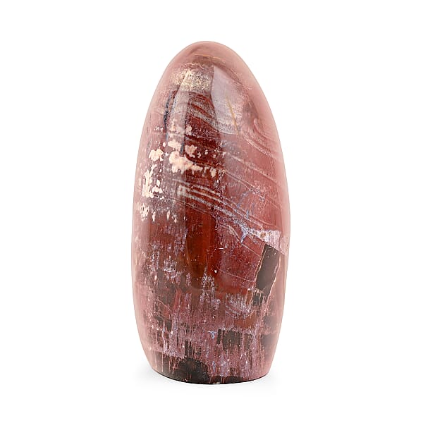 Petrified Wood Freeform -Medium 1747ctw