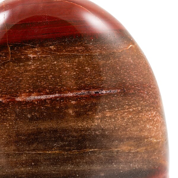 Petrified Wood Freeform -Small 1345ctw