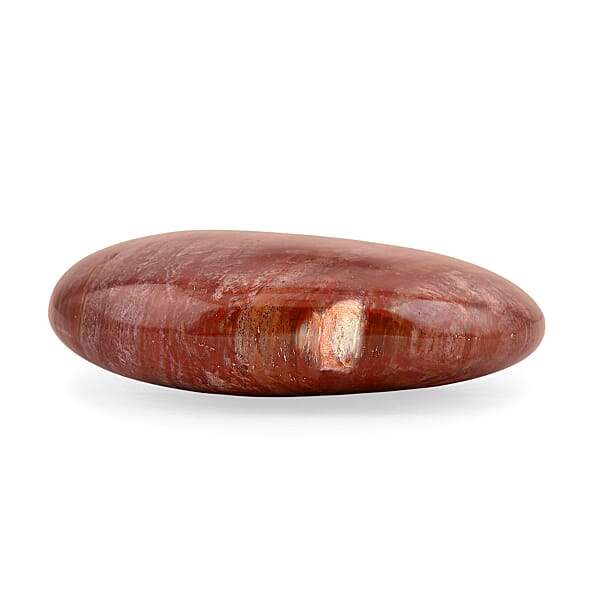 Petrified Wood Gallet -Medium 730ctw