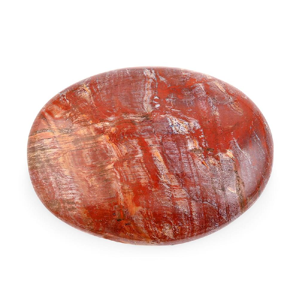 Petrified Wood Gallet -Medium 730ctw