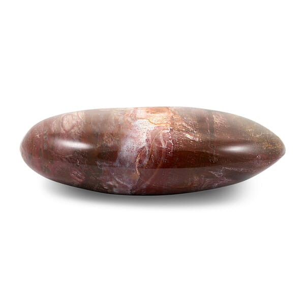 Petrified Wood Gallet -Small 532ctw