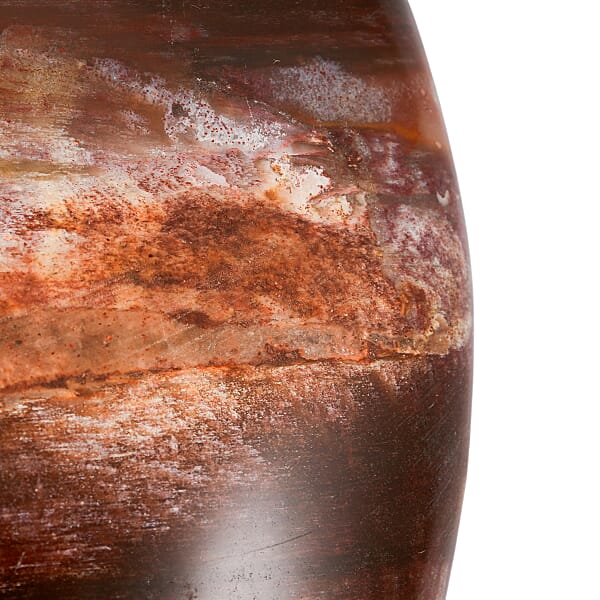 Petrified Wood Gallet -Small 532ctw