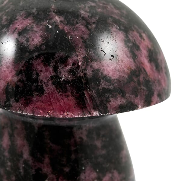 Rhodonite Mushroom -Medium 937ctw