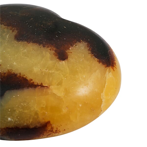 Septaria Heart Shape -Medium 847ctw