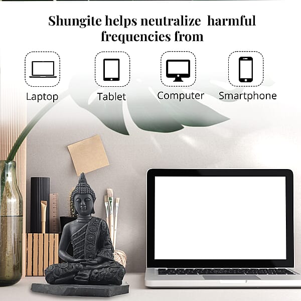 Shungite Buddha Figurine -L 8 Approx. 6980 Ctw